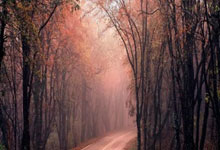 星空体育官网：【体坛名场面】樊振东、许昕、马龙、张继科四人混战，每个人心里想的都是一打三！.