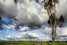 星空体育官网：[英超]拉亚屡献神扑 “枪手”客平“红魔”.