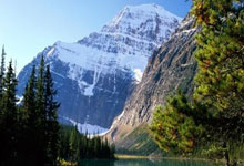 星空体育官网：记者：解约金太高，波切蒂诺世界杯前回归热刺可能性低.